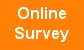 Online Survey for Mobile Government Services