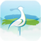 iPhone Version (Hong Kong Wetland park)
