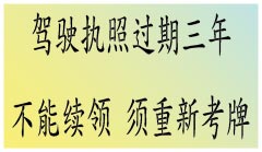 续领驾驶执照