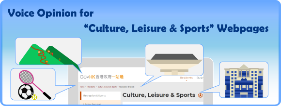 Culture, Leisure & Sports Survey