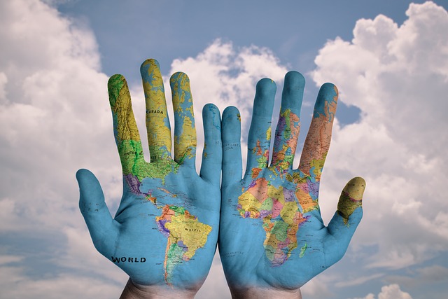 International Market News and Analysis