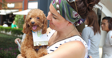 Bringing Pets to Hong Kong