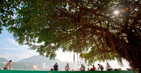 Greening Hong Kong