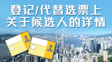 登记/代替选票上关于候选人的详情