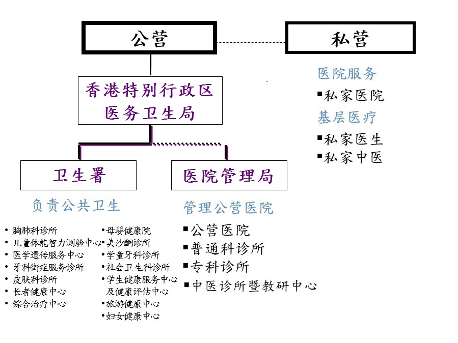 本港的医疗体系架构及有关服务