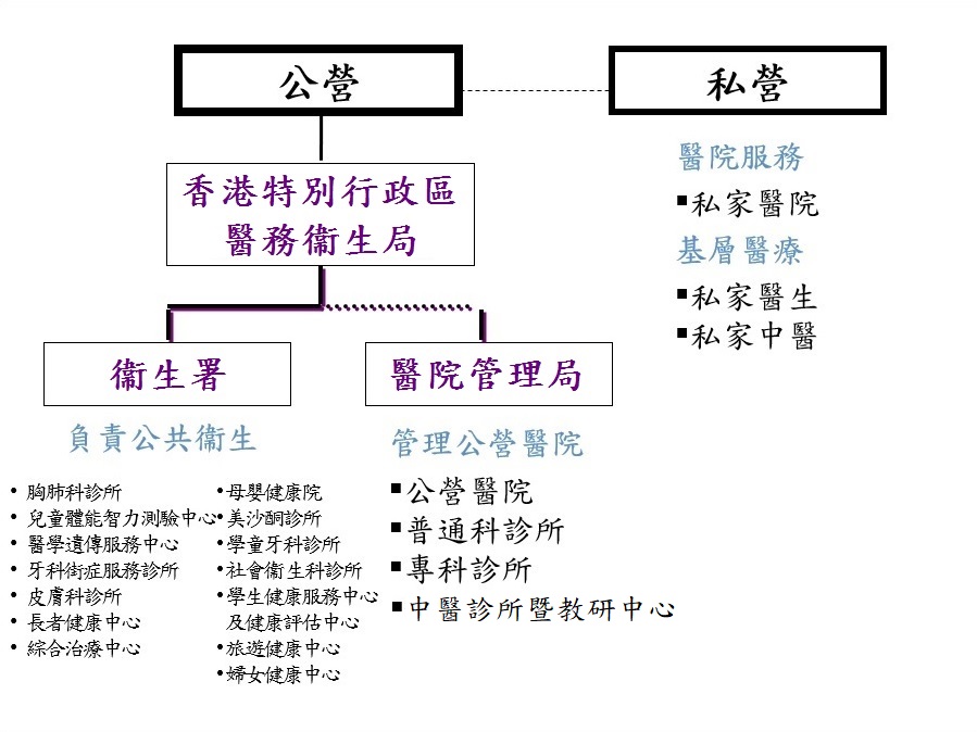 本港的醫療體系架構及有關服務