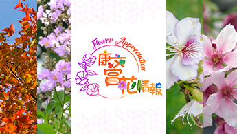 康文署赏花情报网站
