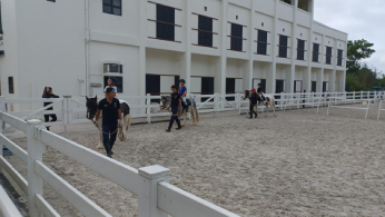 Public Riding School