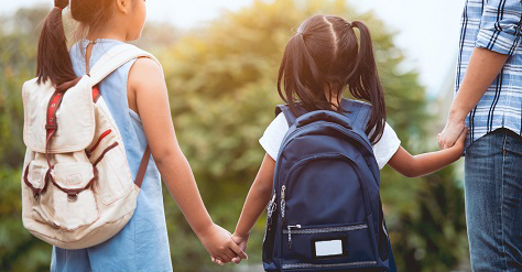 Primary School Profiles