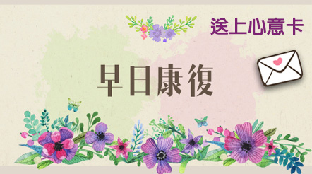 傳送心意卡　祝君早日康復
